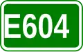 E604 shield