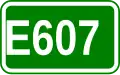 E607 shield