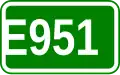 E951 shield