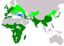 alt=Global range &nbsp; breeding &nbsp; resident &nbsp; non-breeding &nbsp; vagrant (seasonality uncertain)