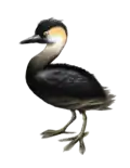 An artist's reconstruction.