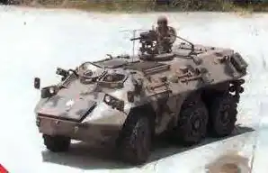 CM31
