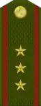 Прапоршики калон Praporshiki kalon (Tajik Ground Forces)[7]