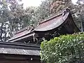 Honden