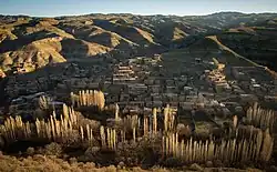 The village of Taklah Quz