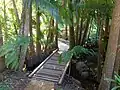 Tamborine Mountain Botanic Gardens