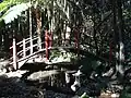 Tamborine Mountain Botanic Gardens