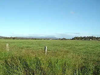 Fields at Chambers Flat, 2014