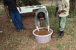 Washing pounded elephant dung
