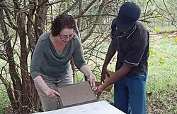 Formation of dung paper sheet using a deckle