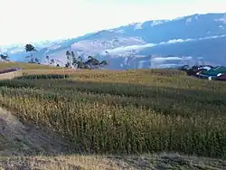 The village Tarata in the Quiabaya Municipality