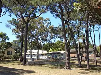 Taren Point Public School