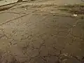 Excavated rice paddies