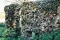 Ruins of Tarvastu Castle in nearby Sooviku