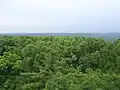 View from lookout tower.