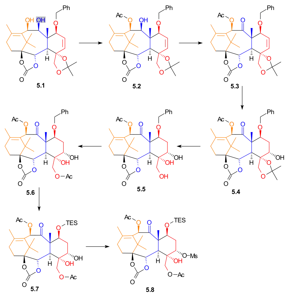 Ring D1 synthesis Scheme 5