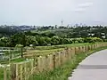 View of Meadowbank Pony Club and Auckland CBD from the pathway