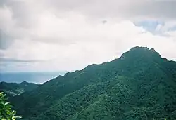 Te Rua Manga (the Needle) lookout