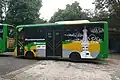 Teman Bus in Yogyakarta.
