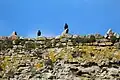 Western jackdaws perched on top of the cella wall.