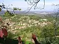 View on Teočak