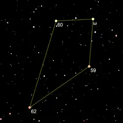 The four stars of the Terebellum
