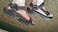 Hiking/sport sandals.