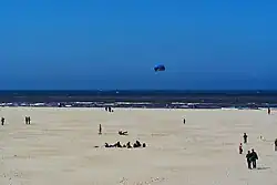 Image 38Beach of Texel (from List of islands of the Netherlands)