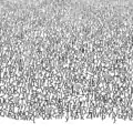 A texture atlas of glyphs