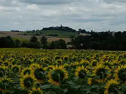 Teyssode and its surroundings