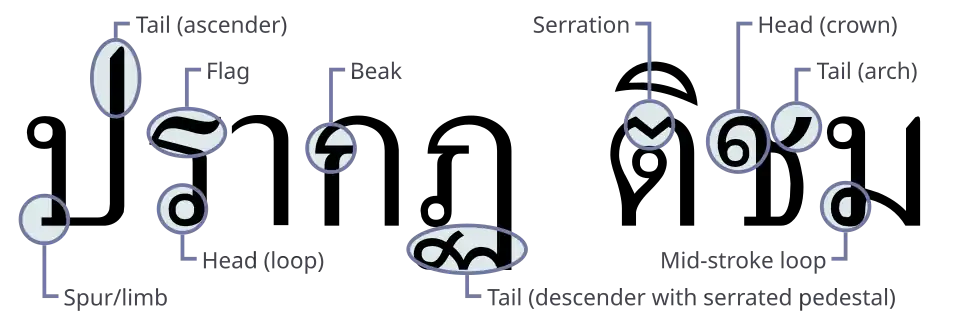 Thai typeface anatomy
