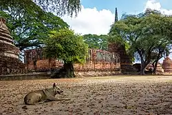 Ruins inside Ayutthaya Historical Park