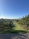 Overlooking the Ashton Gardens