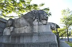 The Alert Lion