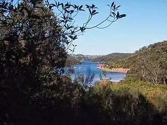 The Bay Track