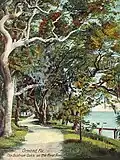 Bostrom Oaks in c.&nbsp;1908