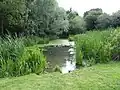 The Dales Open Space