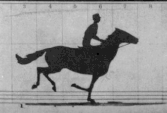 Image 22GIF animation from retouched pictures of The Horse in Motion by Eadweard Muybridge (1879). (from History of film technology)