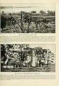 [Top] Union Battery No. 1; [Bottom] Farenhold mansion