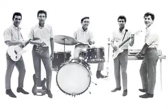 The Sunrays in 1965