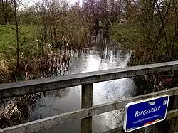 The Tongelreep stream in Aalst.
