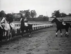 The Trainer's Daughter or A Race for Love, shot 14