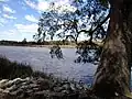 The Ashley river, just behind Drayton Hall