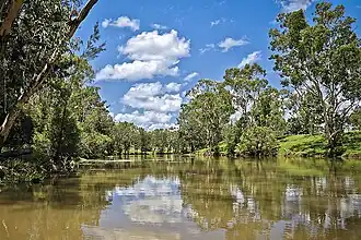 Theresa Creek, 2015