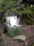 This pit latrine, located near a remote wilderness cabin in Nova Scotia, Canada, has a thunderbox over the pit – essentially an open-bottom box with a seat on the lid – instead of an outhouse.