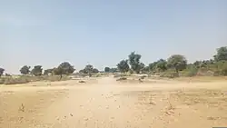 Landscape