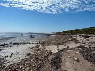 Beach looking north from Tickera