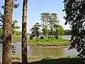 Tidal Island, Slebech