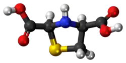 Ball-and-stick model