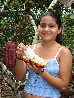 A girl holding an Ecuadorian cocoa bean